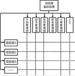 2019年一建项目管理赵春晓精讲班考点 项目的组织 一