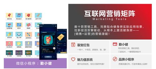 勤鸟科技 健身房管理系统 智能管理系统